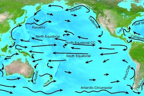 ocean currents animation. 1 Major Pacific Ocean Currents